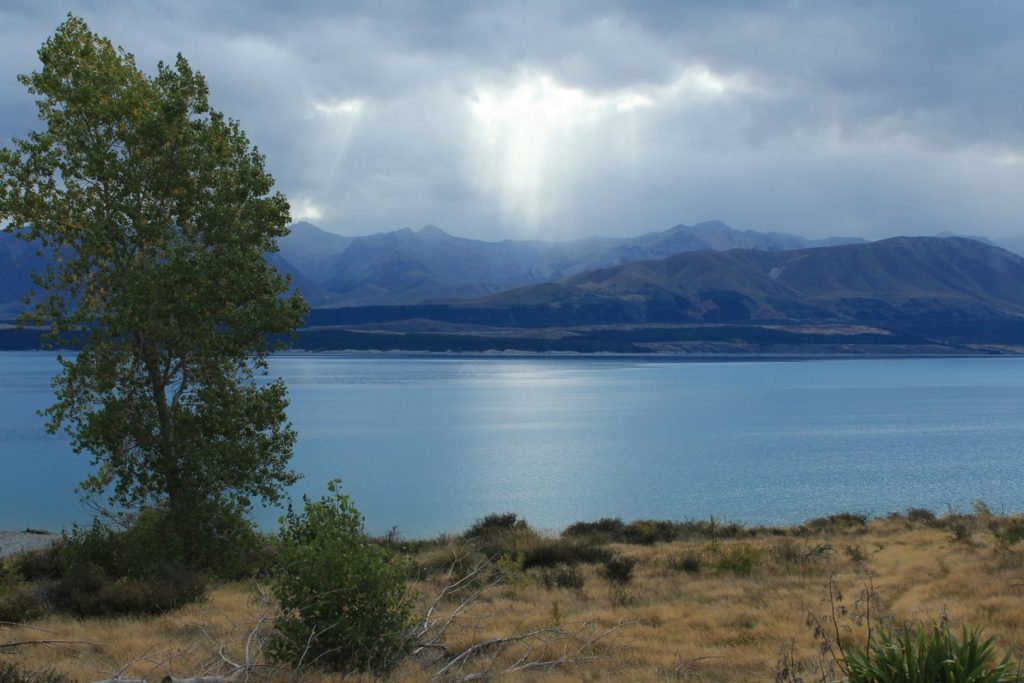 Lac Pukaki, sur la route